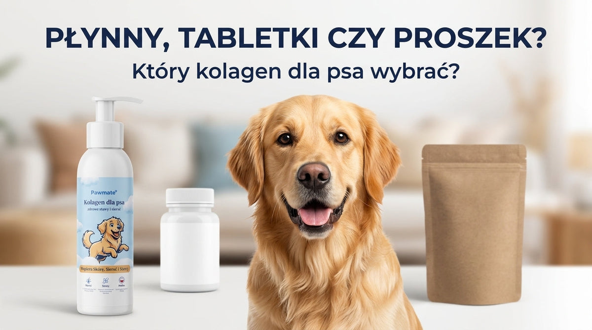 Kolagen dla psa — płynny, tabletki czy proszek? Porównanie form