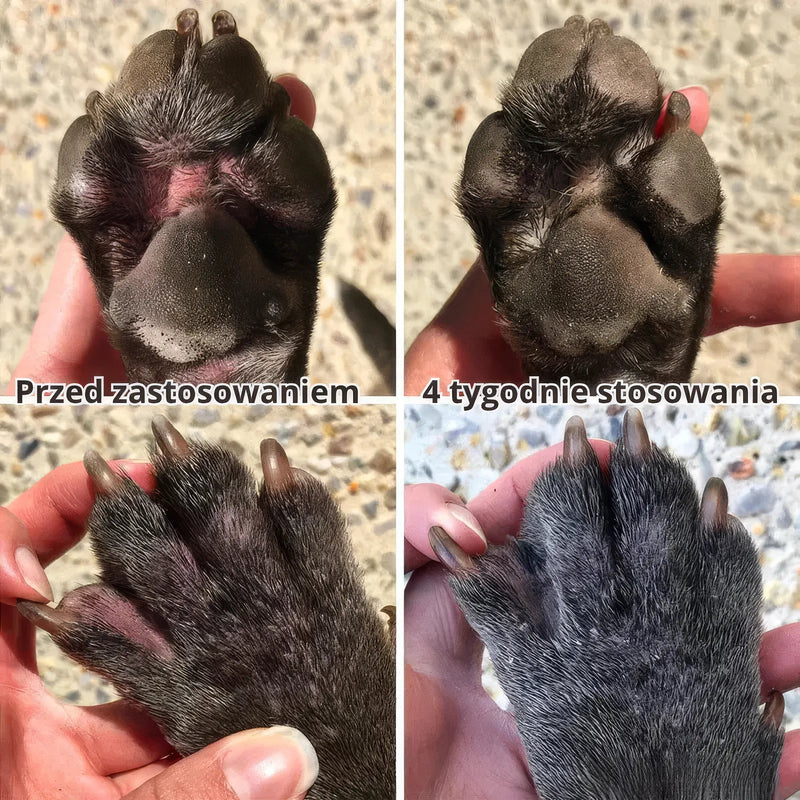 Lăbuțe mai sănătoase după 4 săptămâni de utilizare Pawmate - comparație înainte și după