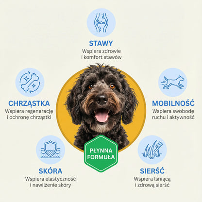 Pawmate Kolagen pro psy