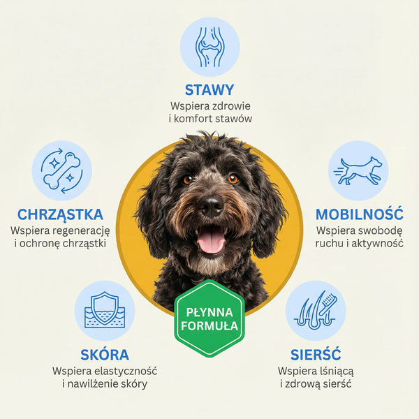 Pawmate Colagen pentru câini