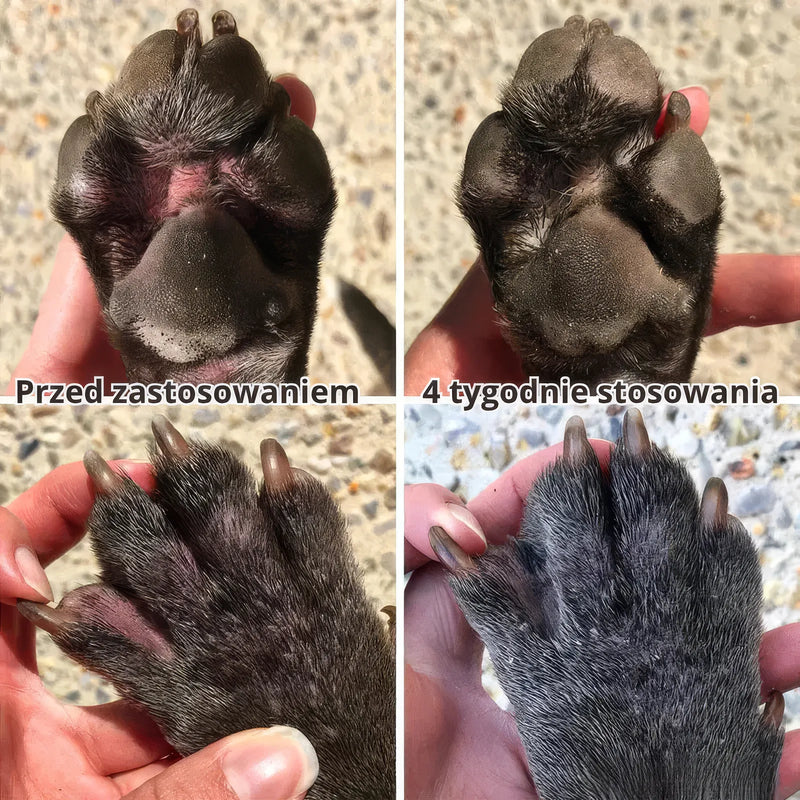 Zdravější tlapky po 4 týdnech používání Pawmate – srovnání před a po