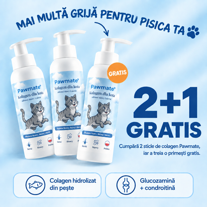 Pawmate Colagen pentru pisici – pachet 2+1 gratis: cumpără 2 sticle, iar a treia o primești gratis