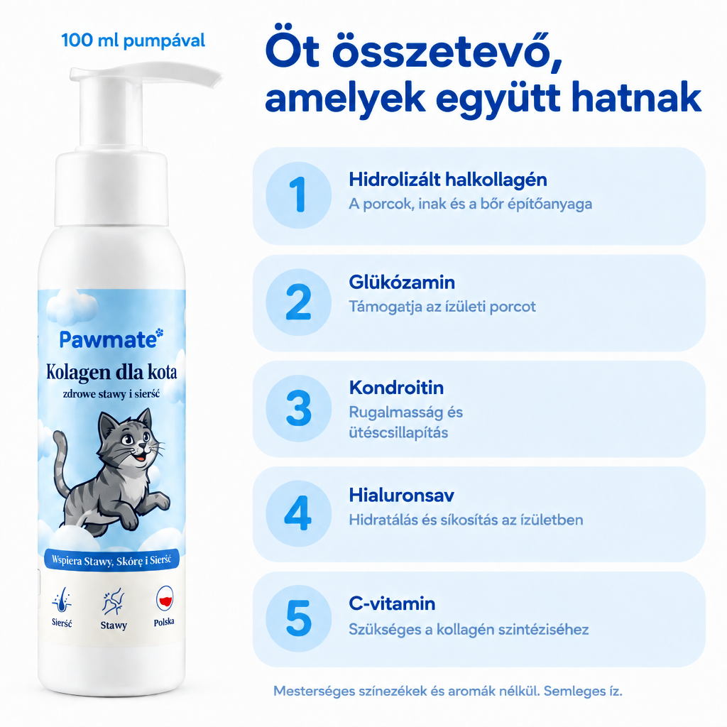 A Pawmate Kollagén macskáknak összetétele – halkollagén, glükózamin, kondroitin, hialuronsav, C-vitamin