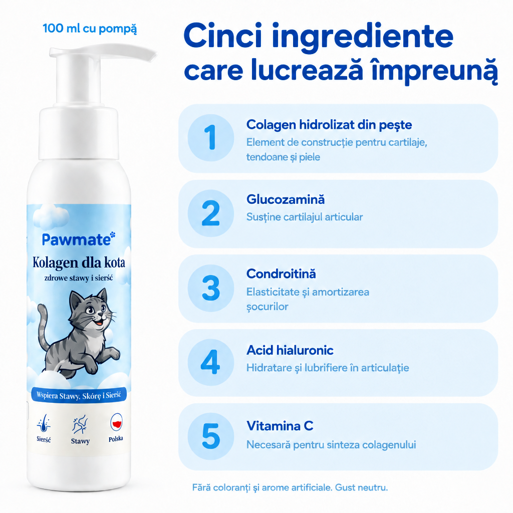 Compoziția Pawmate Colagen pentru pisici – colagen din pește, glucozamină, condroitină, acid hialuronic, vitamina C