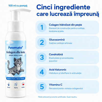 Compoziția Pawmate Colagen pentru pisici – colagen din pește, glucozamină, condroitină, acid hialuronic, vitamina C