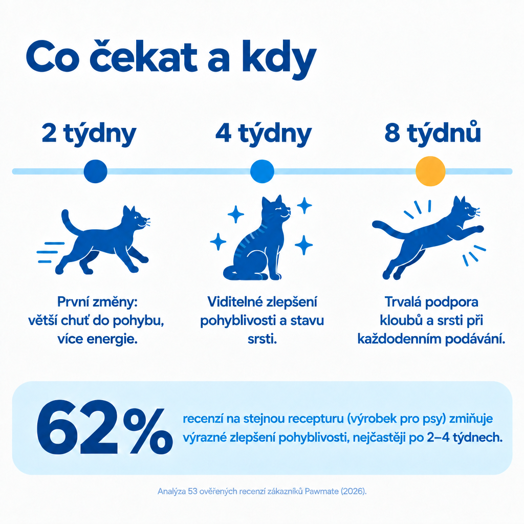 Co čekat od Pawmate Kolagen pro kočky – po 2, 4 a 8 týdnech pravidelného podávání