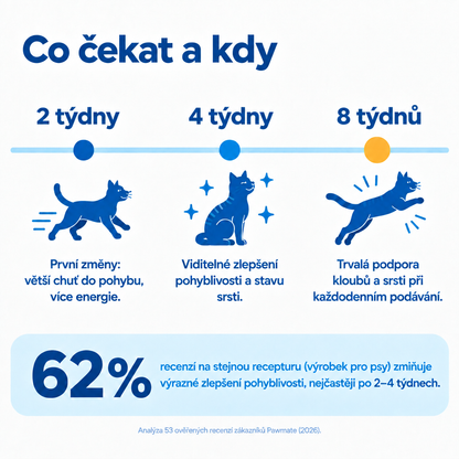Co čekat od Pawmate Kolagen pro kočky – po 2, 4 a 8 týdnech pravidelného podávání
