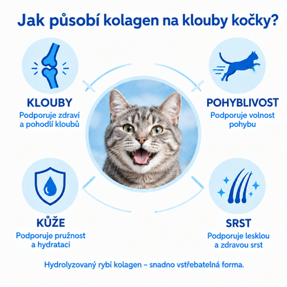Jak působí kolagen na klouby kočky – klouby, pohyblivost, kůže, srst