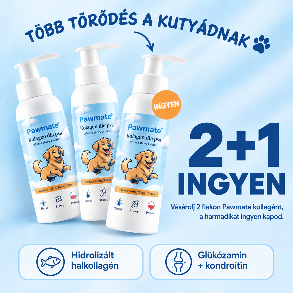 Pawmate Kollagén kutyáknak – 2+1 ingyen csomag: vásárolj 2 flakont, a harmadikat ingyen kapod