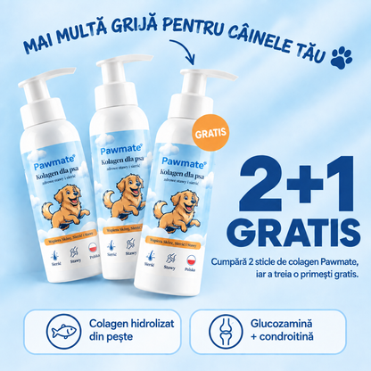 Pawmate Colagen pentru câini – pachet 2+1 gratis: cumpără 2 sticle, iar a treia o primești gratis