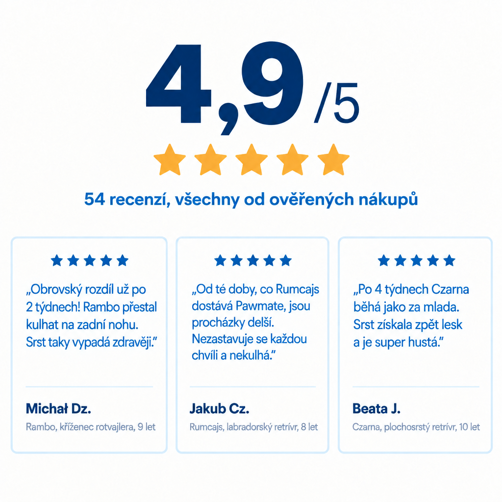 Hodnocení 4,9 z 5 – 54 ověřených recenzí zákazníků