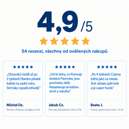 Hodnocení 4,9 z 5 – 54 ověřených recenzí zákazníků
