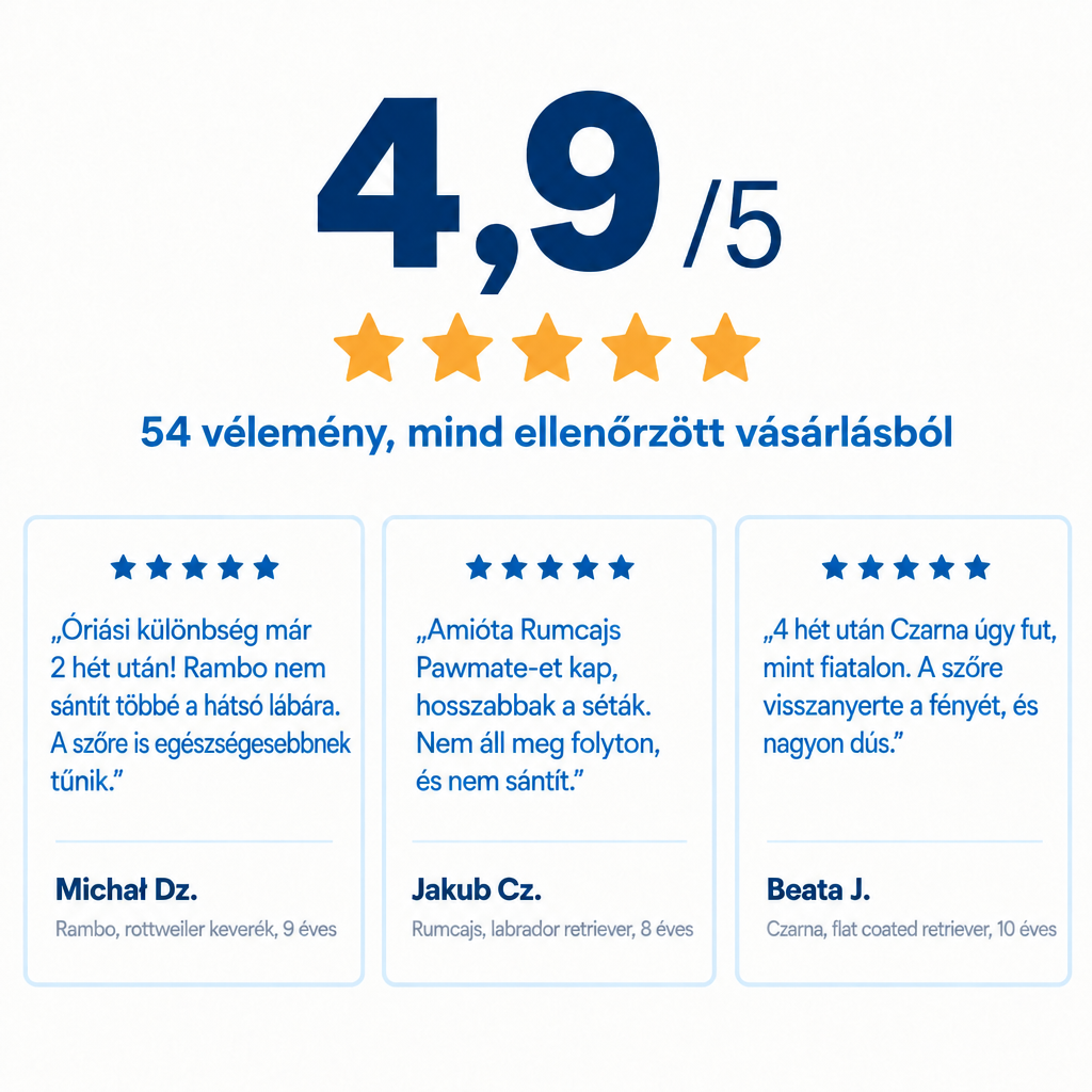 4,9/5 értékelés – 54 ellenőrzött vásárlói vélemény