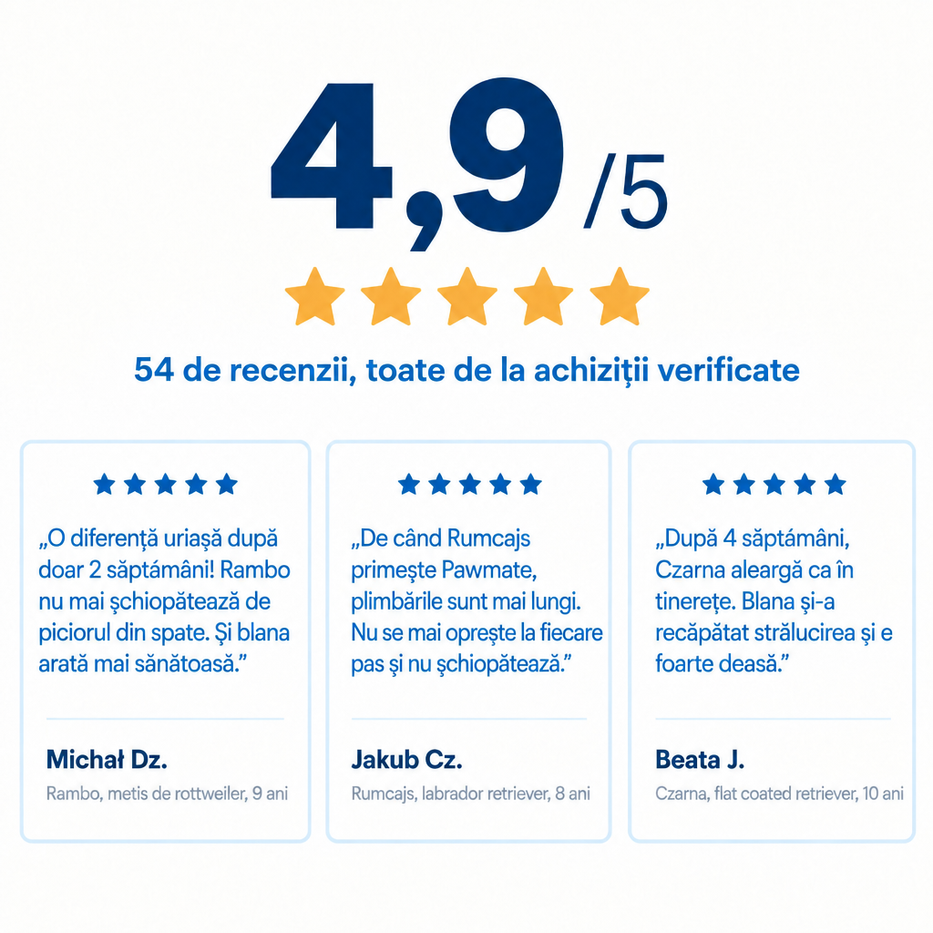 Evaluare 4,9 din 5 – 54 de recenzii verificate ale clienților
