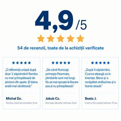 Evaluare 4,9 din 5 – 54 de recenzii verificate ale clienților