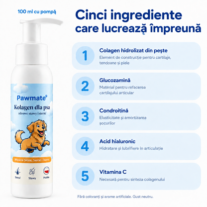 Compoziția Pawmate Colagen pentru câini – colagen din pește, glucozamină, condroitină, acid hialuronic, vitamina C