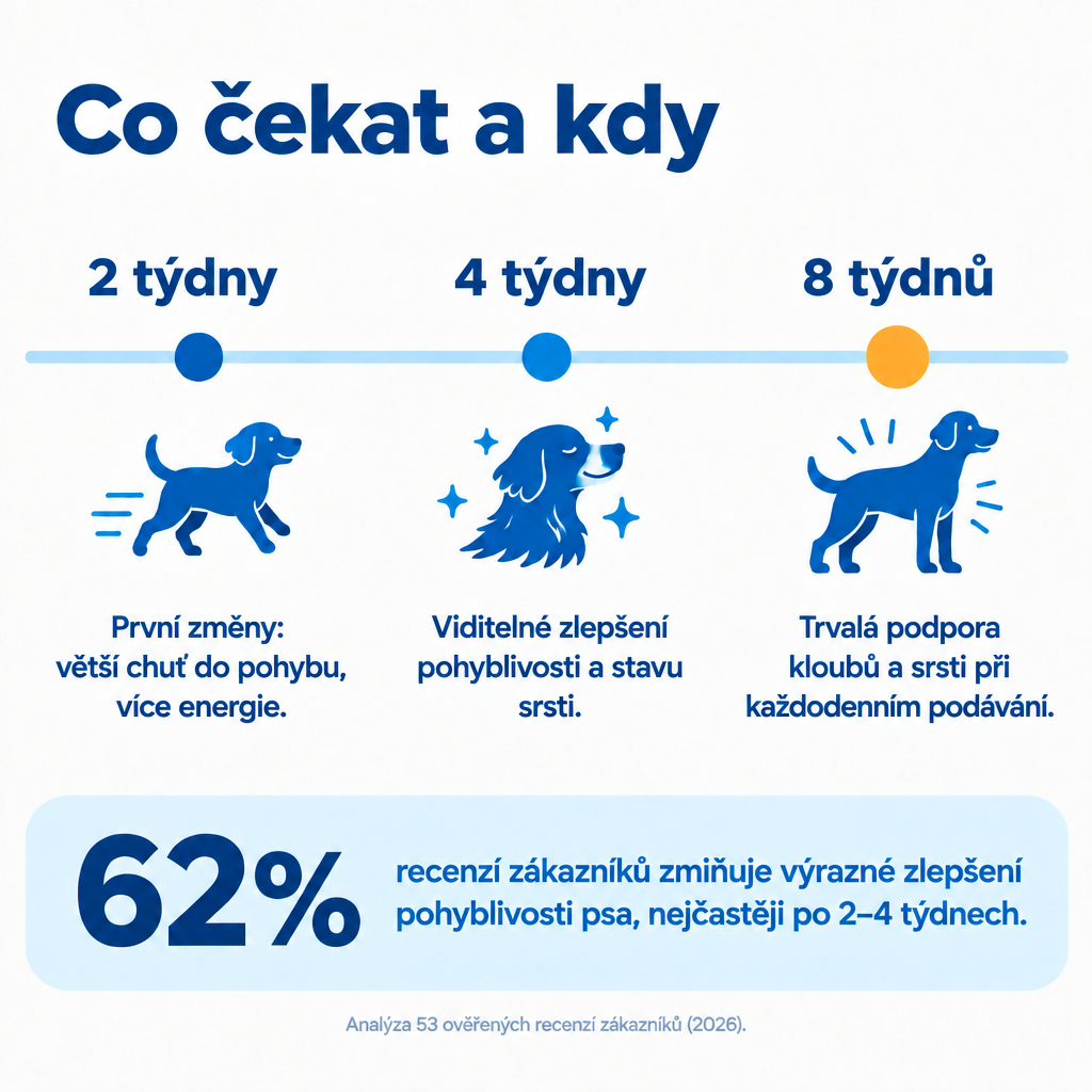 Co čekat od Pawmate Kolagen pro psy – po 2, 4 a 8 týdnech pravidelného podávání