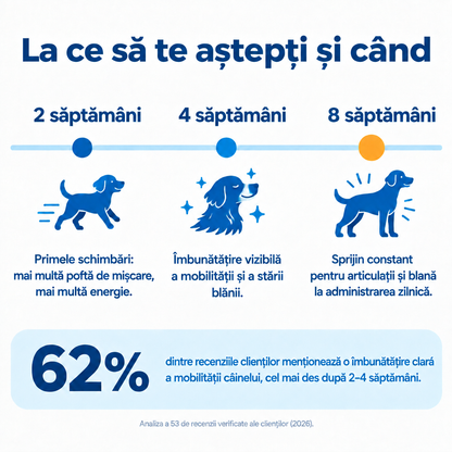 La ce să te aștepți de la Pawmate Colagen pentru câini – după 2, 4 și 8 săptămâni de administrare regulată