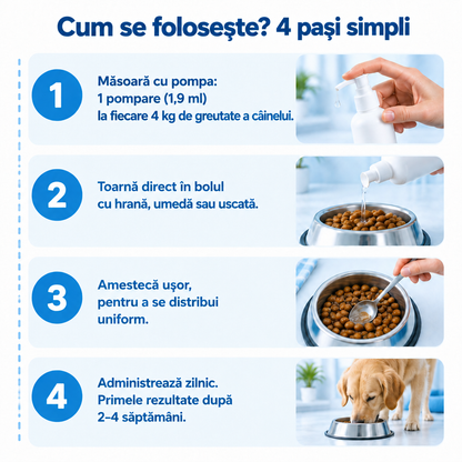 Cum se folosește Pawmate Colagen pentru câini în 4 pași