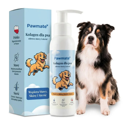 Pawmate Kolagen dla Psa - opakowanie i butelka z pompka 100 ml, obok pies