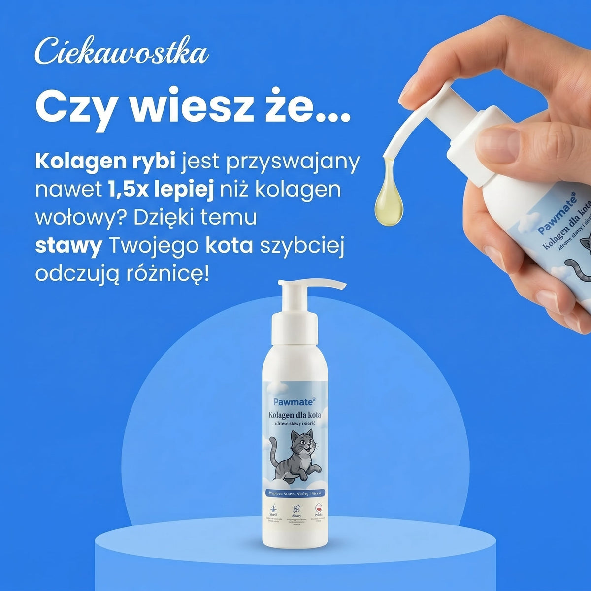 Pawmate Kolagen dla Kota