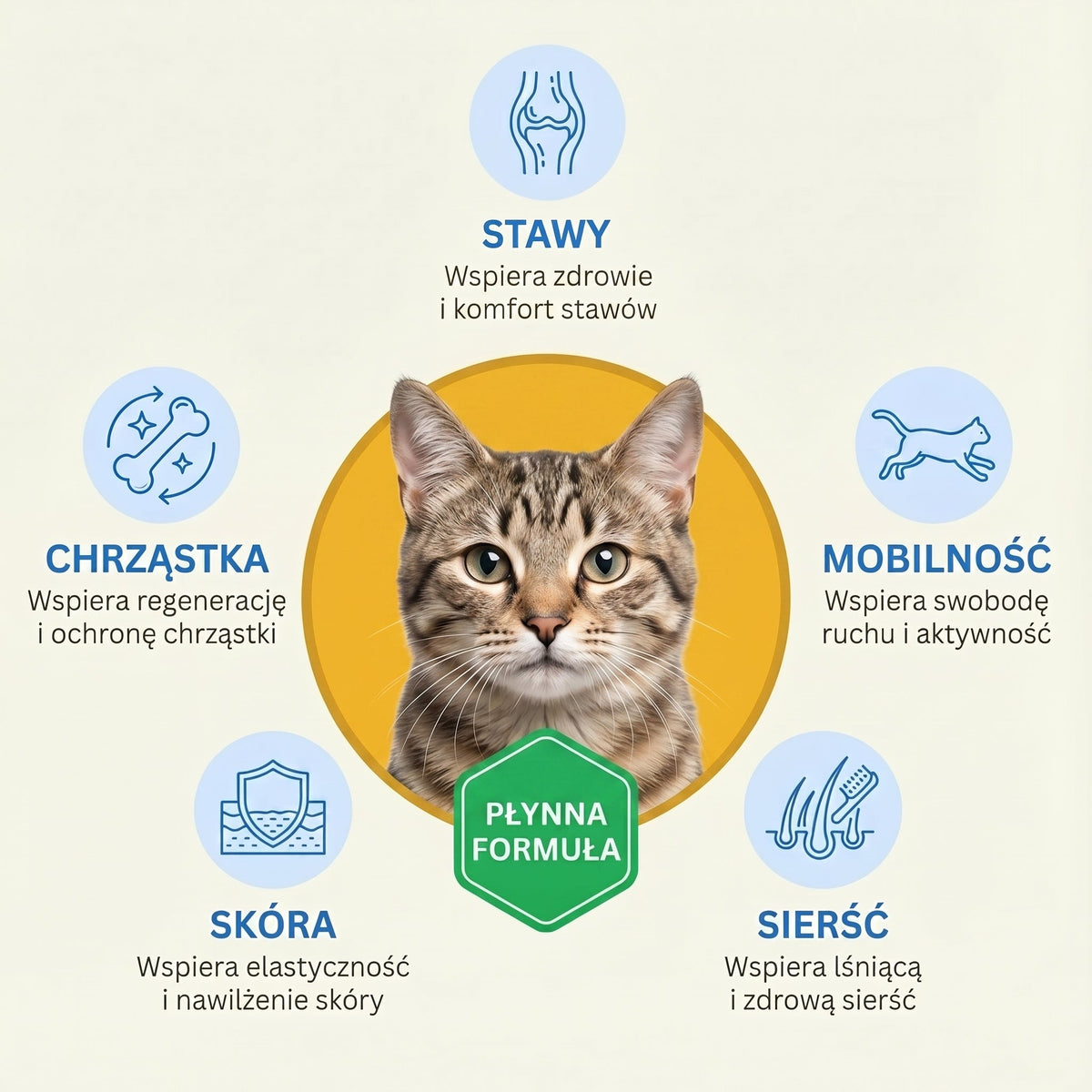 Pawmate Kolagen dla Kota