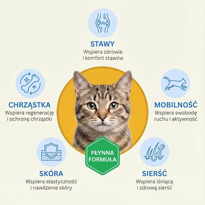 Pawmate Kolagen dla Kota