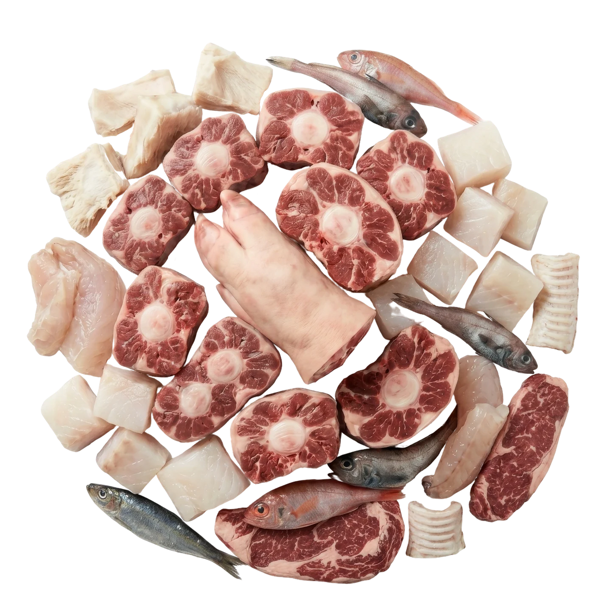 chondroityna